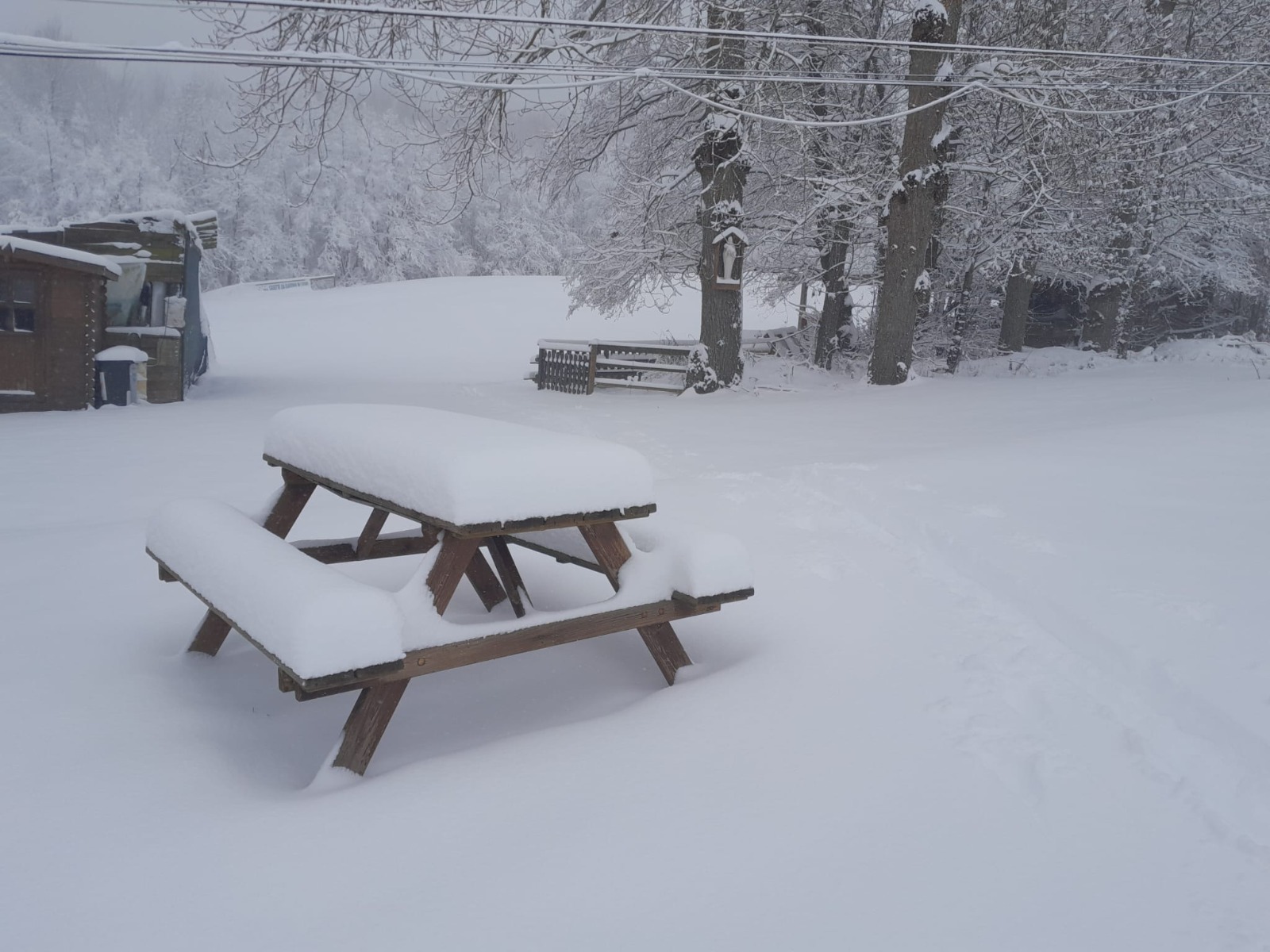 Si fa presto a dire BUON NATALE